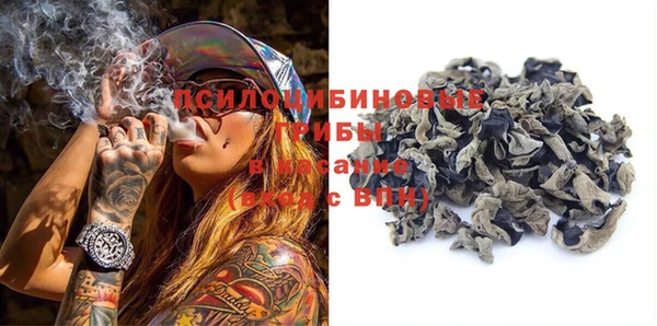 тгк Осташков