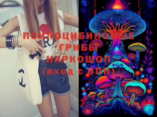 тгк Осташков