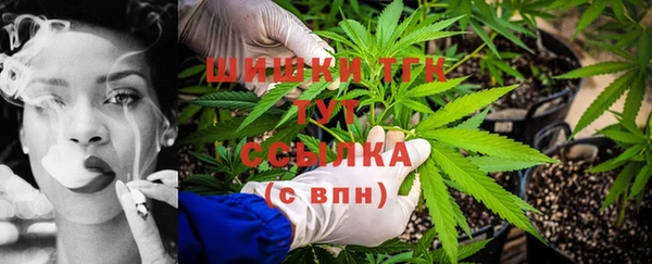 тгк Осташков