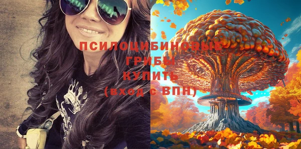 MDMA Осинники