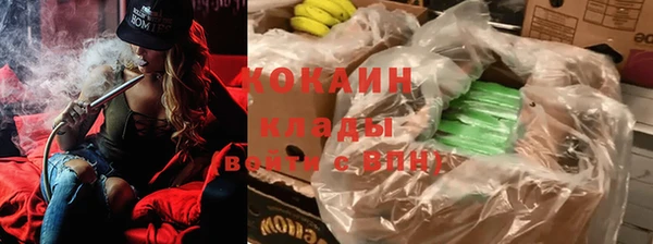 тгк Осташков