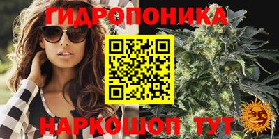 PSILOCYBIN Балахна