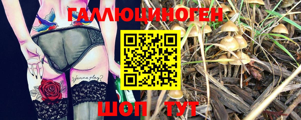 Галлюциногенные грибы Psilocybe Когалым