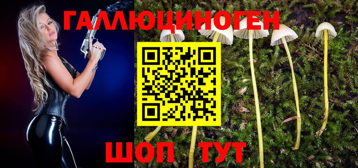 Псилоцибиновые грибы GOLDEN TEACHER Когалым