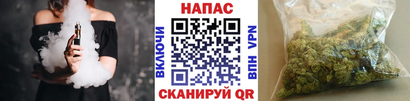 darknet Telegram Когалым Шишки марихуана сатива блэк спрут ссылка
